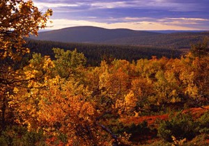 Lapland Hotels Ylläskaltio