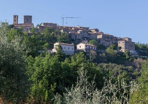 Lo Scricciolo E