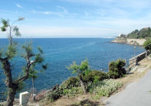 Locazione turistica La Scogliera (SLR233)