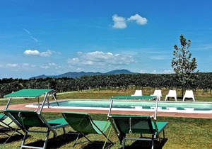 Locazione Turistica Pisa Toscana - GVS121