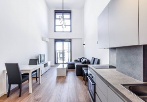 LOFT BUSINES III 115