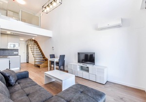 LOFT BUSINES II 117