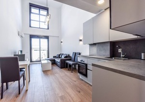 LOFT BUSINES II 117