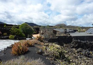 Los Frailes eco finca A