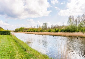 Lovely holiday home in Zeewolde with a swimming pool