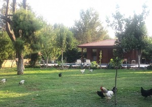 Lovely Summer House with Shared Pool in Kepez