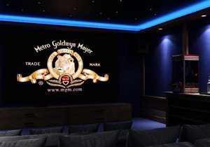Luxurious and Spacious Chalet