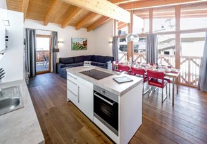 Luxurious Apartment with Sauna, Garage, Roof Terrace
