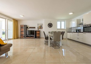 Luxurious home in Novalja