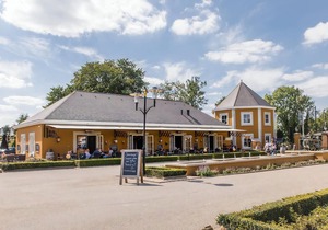 Luxury 10-person villa - Extra accessible in the holiday park Landal Kasteeldomein De Cauberg