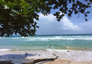 Luxury 2BR ❤️Ocean, Jungle, Sunsets, Walk to Surf