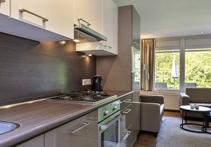 Luxury 4-person bungalow in the holiday park Landal Sonnenberg