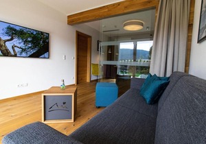 Luxury apartment in the citycenter of Mariapfarr