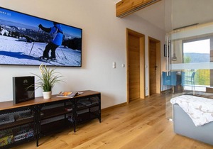Luxury apartment in the citycenter of Mariapfarr