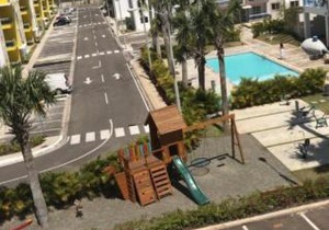 Luxury real palm