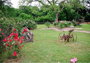 #M Son's Rio Cibolo - Glamping Cabin