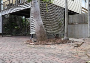 Magnetic Haven Unit 6