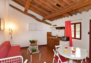 Magnificent apartment in the Tuscan countryside with swimming pool