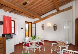 Magnificent apartment in the Tuscan countryside with swimming pool