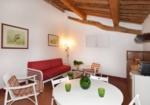 Magnificent apartment in the Tuscan countryside with swimming pool