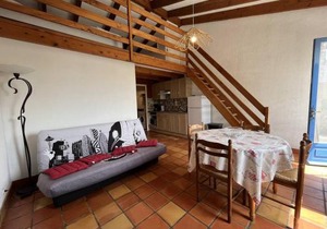 Maison rénovée 4 couchages à 350m de la plage avec jardinet et parking privé - FR-1-246A-129