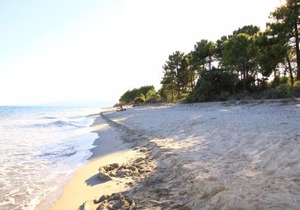 Marina Corsa Residence Three rooms apartment 150 m from the beach - Ghisonaccia