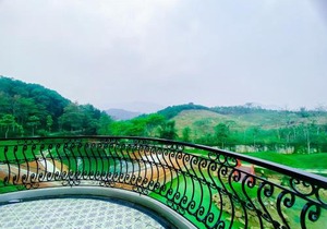 MEDDOM Park