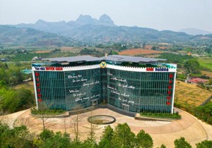 MEDDOM Park