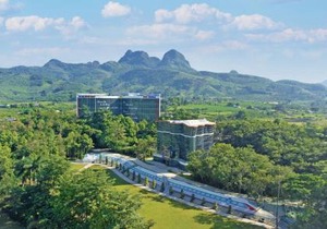 MEDDOM Park