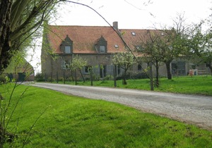 Meeuwenoord