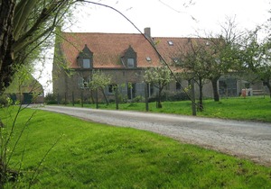 Meeuwenoord in Middelkerke