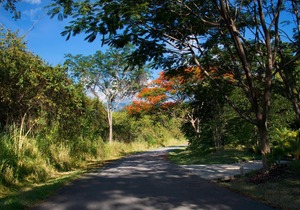 Mesa De Yeguas