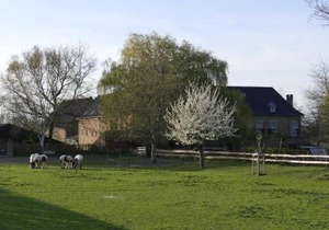 Meschermolen 12