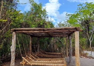 Mida Creek Eco Camp 1