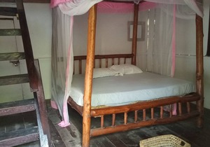 Mida Creek Eco Camp - cottage house