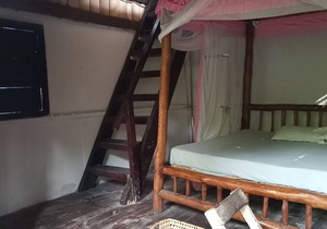 Mida Creek Eco Camp - cottage house