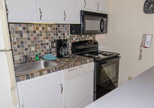 ML320 Light & Bright! Mountain View Comfortable Near Village & Lift WiFi