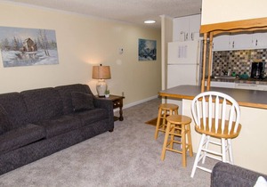 ML320 Light & Bright! Mountain View Comfortable Near Village & Lift WiFi