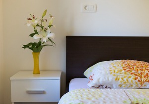 Modern Apartment Muciceva Ravan 3