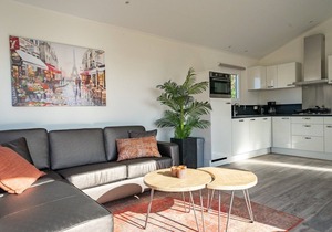Modern chalet 2km from De Efteling