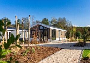 Modern chalet 2km from De Efteling