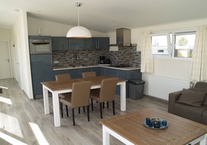 Modern chalet located in the Achterhoek