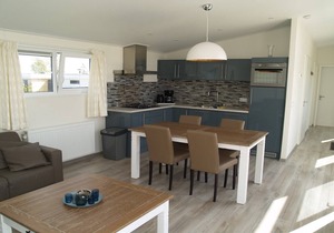 Modern chalet located in the Achterhoek