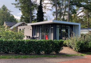 Modern chalet located in the Achterhoek