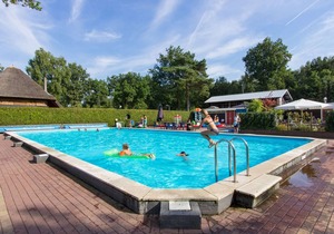 Modern chalet near De Veluwe National Park