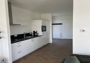 Modern chalet with a dishwasher in Lathum