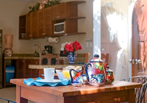 Modern, comfortable, well-appointed apartment with private garden courtyard.