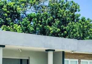 Modern Dorado Beach Oasis 3Br With A/C
