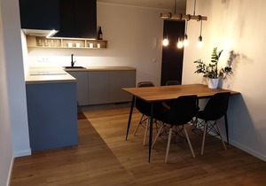 Modern apartment in Tallinn, Telliskivi