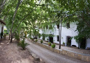 Molino Galán - Apartment 4